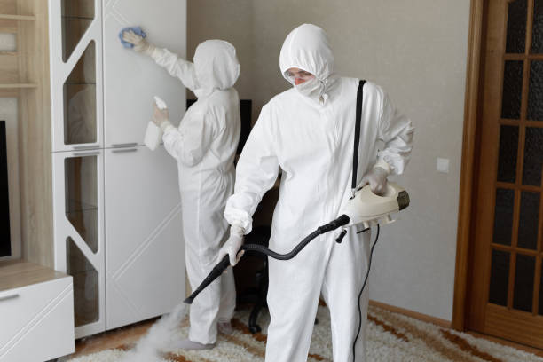 Best Industrial Mold Remediation in Homestead, FL